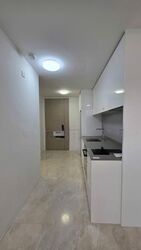 Amber Park (D15), Condominium #543541071
